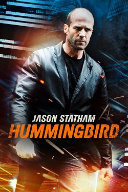 Hummingbird